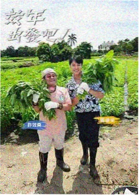 台地慢行笔记条目封面，家庭生活流视频短剧全集完整版